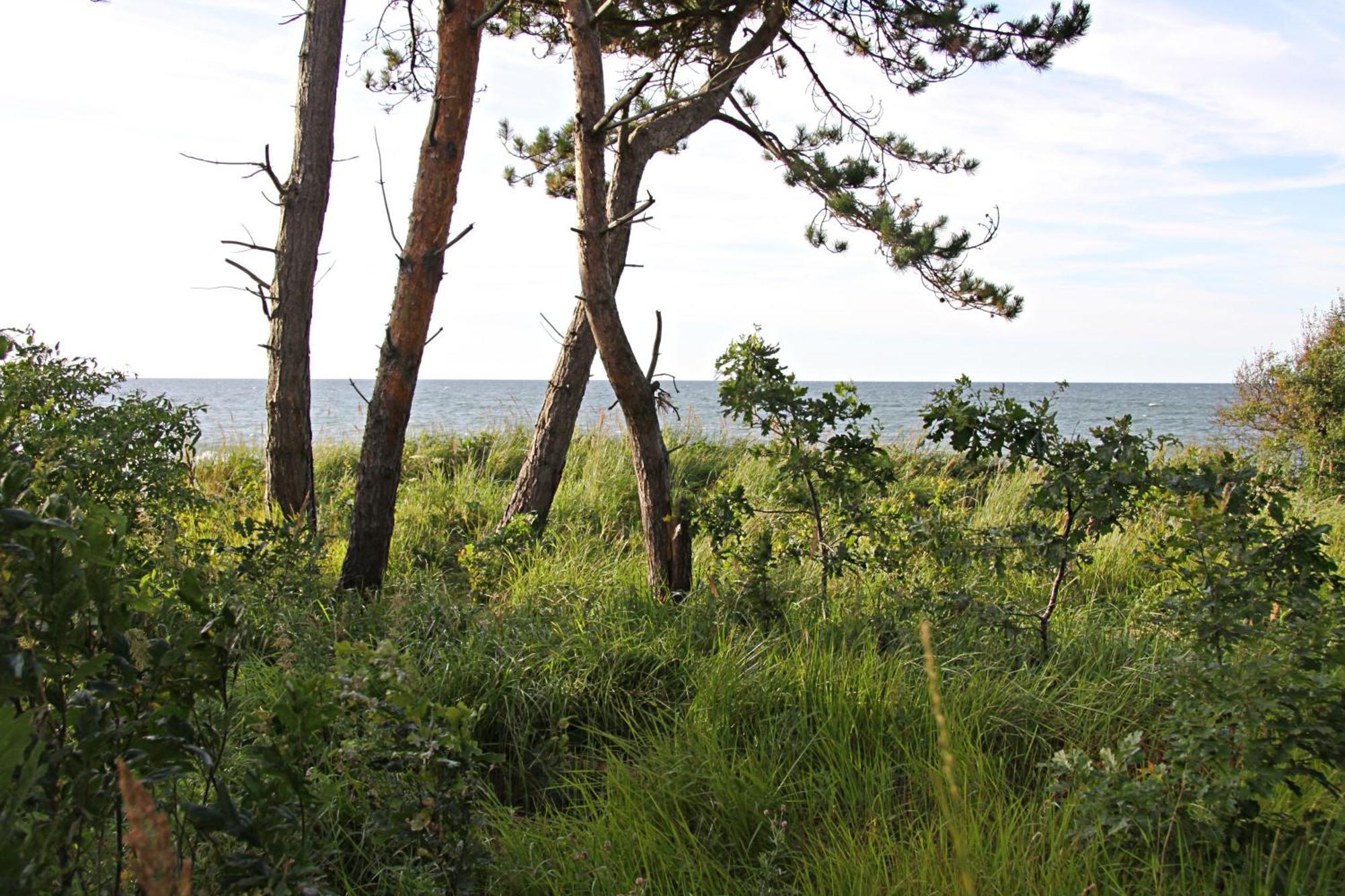 Let'S Sea - 2 Bedroom - Premium Baltic Apartment With Front Sea View Garden And Spa Access Gaski  Bagian luar foto