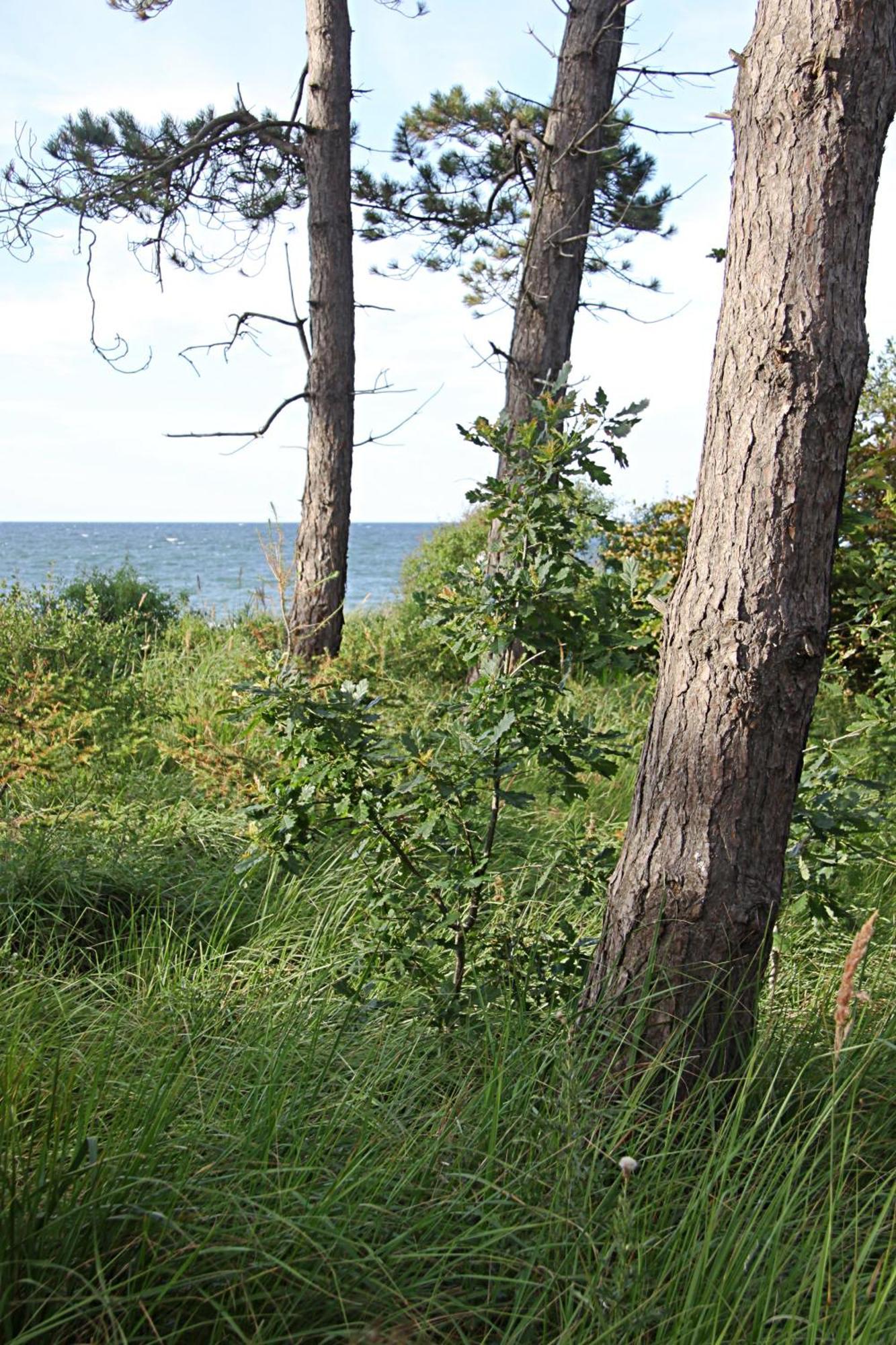 Let'S Sea - 2 Bedroom - Premium Baltic Apartment With Front Sea View Garden And Spa Access Gaski  Bagian luar foto